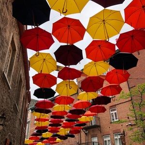 Meet your Posher, Jacey